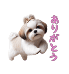 [ありがとう専用]ほっこりシーズー（個別スタンプ：1）