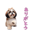[ありがとう専用]ほっこりシーズー（個別スタンプ：3）