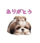 [ありがとう専用]ほっこりシーズー（個別スタンプ：5）