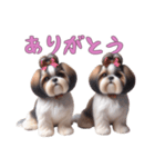 [ありがとう専用]ほっこりシーズー（個別スタンプ：7）