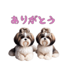 [ありがとう専用]ほっこりシーズー（個別スタンプ：8）