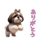 [ありがとう専用]ほっこりシーズー（個別スタンプ：12）