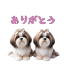 [ありがとう専用]ほっこりシーズー（個別スタンプ：13）