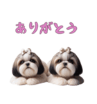 [ありがとう専用]ほっこりシーズー（個別スタンプ：14）