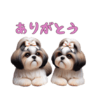 [ありがとう専用]ほっこりシーズー（個別スタンプ：15）