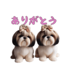 [ありがとう専用]ほっこりシーズー（個別スタンプ：16）