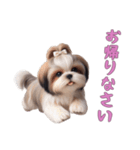 [お帰りなさい専用]ほっこりシーズー（個別スタンプ：2）