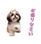 [お帰りなさい専用]ほっこりシーズー（個別スタンプ：3）