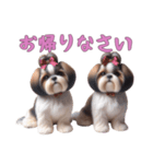 [お帰りなさい専用]ほっこりシーズー（個別スタンプ：9）
