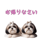 [お帰りなさい専用]ほっこりシーズー（個別スタンプ：10）