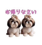 [お帰りなさい専用]ほっこりシーズー（個別スタンプ：11）
