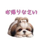 [お帰りなさい専用]ほっこりシーズー（個別スタンプ：13）