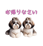 [お帰りなさい専用]ほっこりシーズー（個別スタンプ：16）