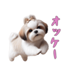 [オッケー専用]ほっこりシーズー（個別スタンプ：1）