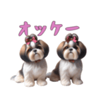 [オッケー専用]ほっこりシーズー（個別スタンプ：5）