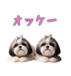 [オッケー専用]ほっこりシーズー（個別スタンプ：6）