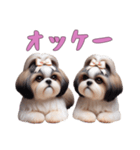 [オッケー専用]ほっこりシーズー（個別スタンプ：7）
