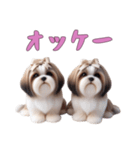 [オッケー専用]ほっこりシーズー（個別スタンプ：12）