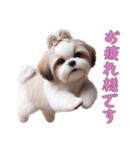 [お疲れ様です専用]ほっこりシーズー（個別スタンプ：1）