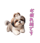 [お疲れ様です専用]ほっこりシーズー（個別スタンプ：2）
