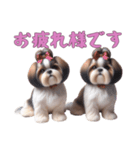 [お疲れ様です専用]ほっこりシーズー（個別スタンプ：6）