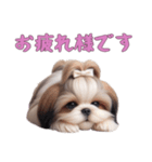 [お疲れ様です専用]ほっこりシーズー（個別スタンプ：8）