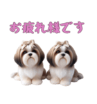 [お疲れ様です専用]ほっこりシーズー（個別スタンプ：13）