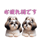 [お疲れ様です専用]ほっこりシーズー（個別スタンプ：16）