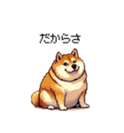 北海道弁の太っちょ柴犬（個別スタンプ：7）