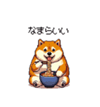 北海道弁の太っちょ柴犬（個別スタンプ：9）