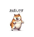 北海道弁の太っちょ柴犬（個別スタンプ：10）