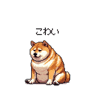 北海道弁の太っちょ柴犬（個別スタンプ：15）