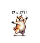 北海道弁の太っちょ柴犬（個別スタンプ：16）