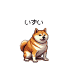 北海道弁の太っちょ柴犬（個別スタンプ：18）