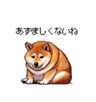 北海道弁の太っちょ柴犬（個別スタンプ：20）