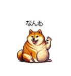 北海道弁の太っちょ柴犬（個別スタンプ：24）