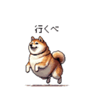 北海道弁の太っちょ柴犬（個別スタンプ：25）