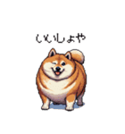 北海道弁の太っちょ柴犬（個別スタンプ：26）