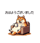 北海道弁の太っちょ柴犬（個別スタンプ：29）