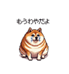 北海道弁の太っちょ柴犬（個別スタンプ：30）