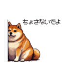 北海道弁の太っちょ柴犬（個別スタンプ：31）