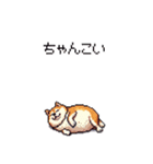 北海道弁の太っちょ柴犬（個別スタンプ：32）
