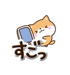 ちびシバ☆ぷっくり文字（個別スタンプ：17）