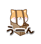 ちびシバ☆ぷっくり文字（個別スタンプ：20）