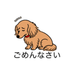 名前入りダックスロングゴールド（個別スタンプ：2）