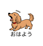 名前入りダックスロングゴールド（個別スタンプ：3）