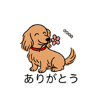 名前入りダックスロングゴールド（個別スタンプ：5）