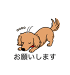 名前入りダックスロングゴールド（個別スタンプ：7）