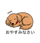 名前入りダックスロングゴールド（個別スタンプ：9）