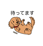 名前入りダックスロングゴールド（個別スタンプ：10）
